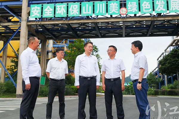杨林兴：把新型工业化摆在更加突出的位置，让“四化同步”发展的主引擎作用更加凸显